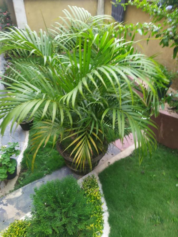 Rio Homestay Haputale Εξωτερικό φωτογραφία